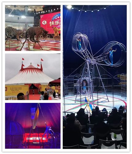 大邑縣馬戲團表演租賃出租附近