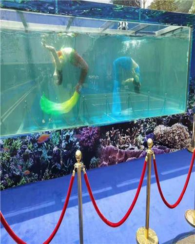 沈陽(yáng)馬戲團(tuán)出租預(yù)約電話