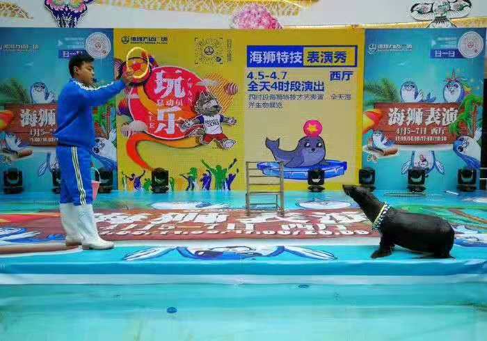 張家口市沽源縣馬戲團動物租賃馴養員