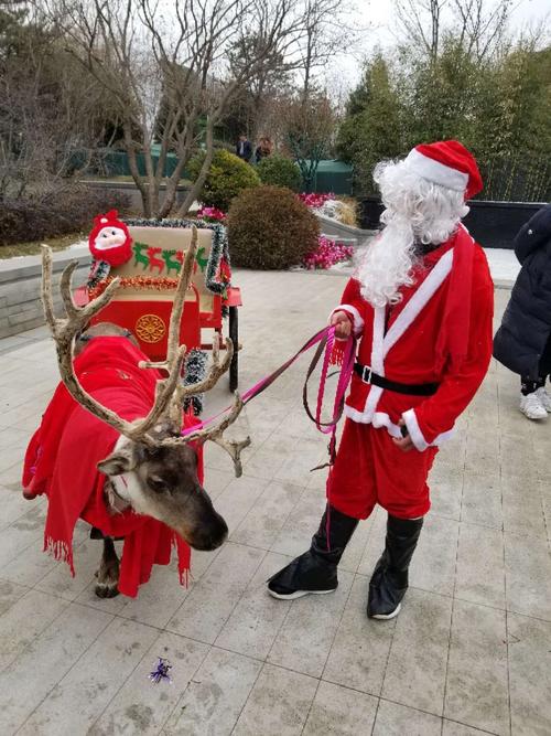 畢節(jié)哪里有出租馬戲團(tuán)表演馬戲團(tuán)出租的