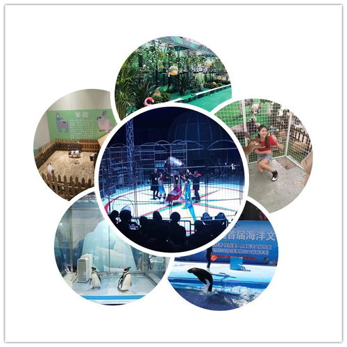 揭西縣馬戲團表演出租附近