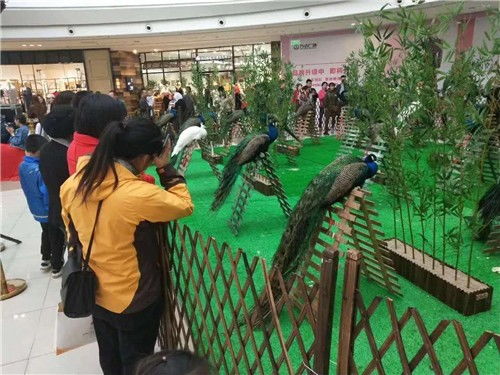 大慶市對(duì)外馬戲團(tuán)表演出租大型慶典