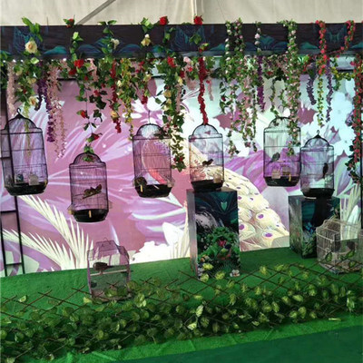 上海長期出租海獅團表演