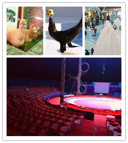 東方市哪里有出租馬戲團的