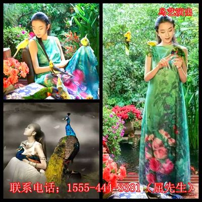 云南迪慶藏族自治州維西傈僳族自治縣出租企鵝_山東誠信動物租賃 - 商國互聯網