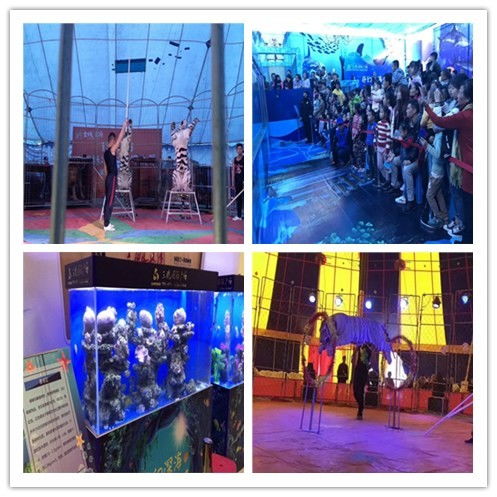 江都市企鵝租賃雜技