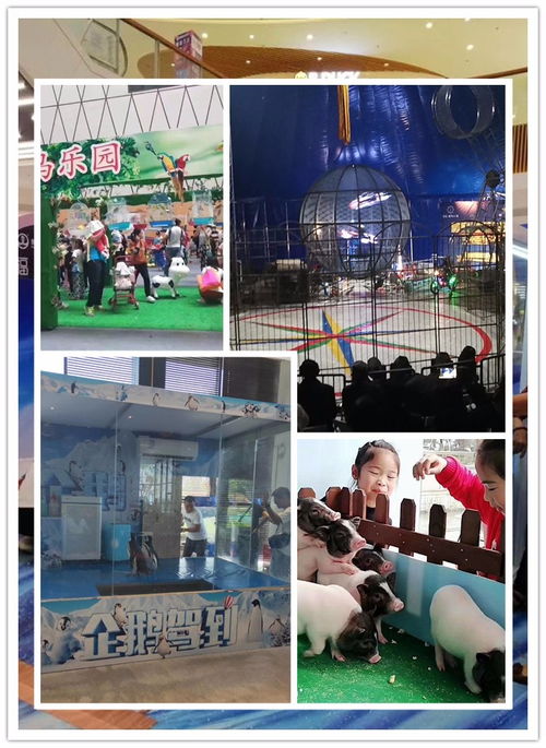 建德市馬戲團雜技表演出租