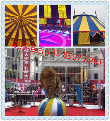 貴陽哪里有馬戲團(tuán)表演怎么聯(lián)系馬戲團(tuán)演出什么價錢