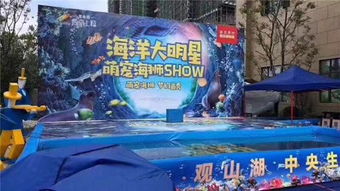 郟縣雜技馬戲團(tuán)表演動物主題暖場活動