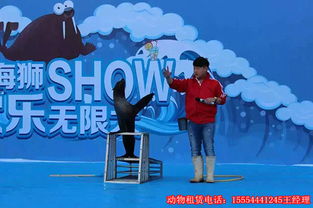 馬戲表演什么價格重慶馬戲團表演租賃7天多少錢