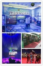 阜陽市百鳥園出租租賃馬戲團(tuán)