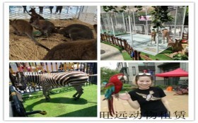 河南泌陽租賃馬戲團(tuán)表演價格有沒有