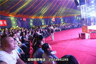 出租馬戲團(tuán)演出惠州