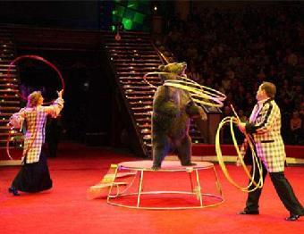 蚌埠市馬戲團(tuán)表演-出租海獅-出租企鵝_志趣網(wǎng)