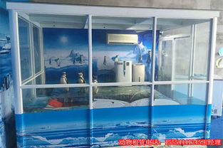 馬戲表演什么價格重慶馬戲團表演租賃7天多少錢