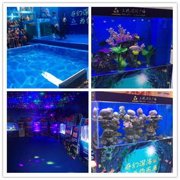 江油市馬戲團表演租賃