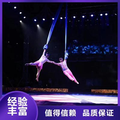 馬戲團(tuán)羊駝海獅表演與冰雕展出租賃 高性價(jià)比的優(yōu)質(zhì)選擇